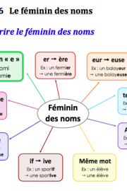 Le féminin des noms