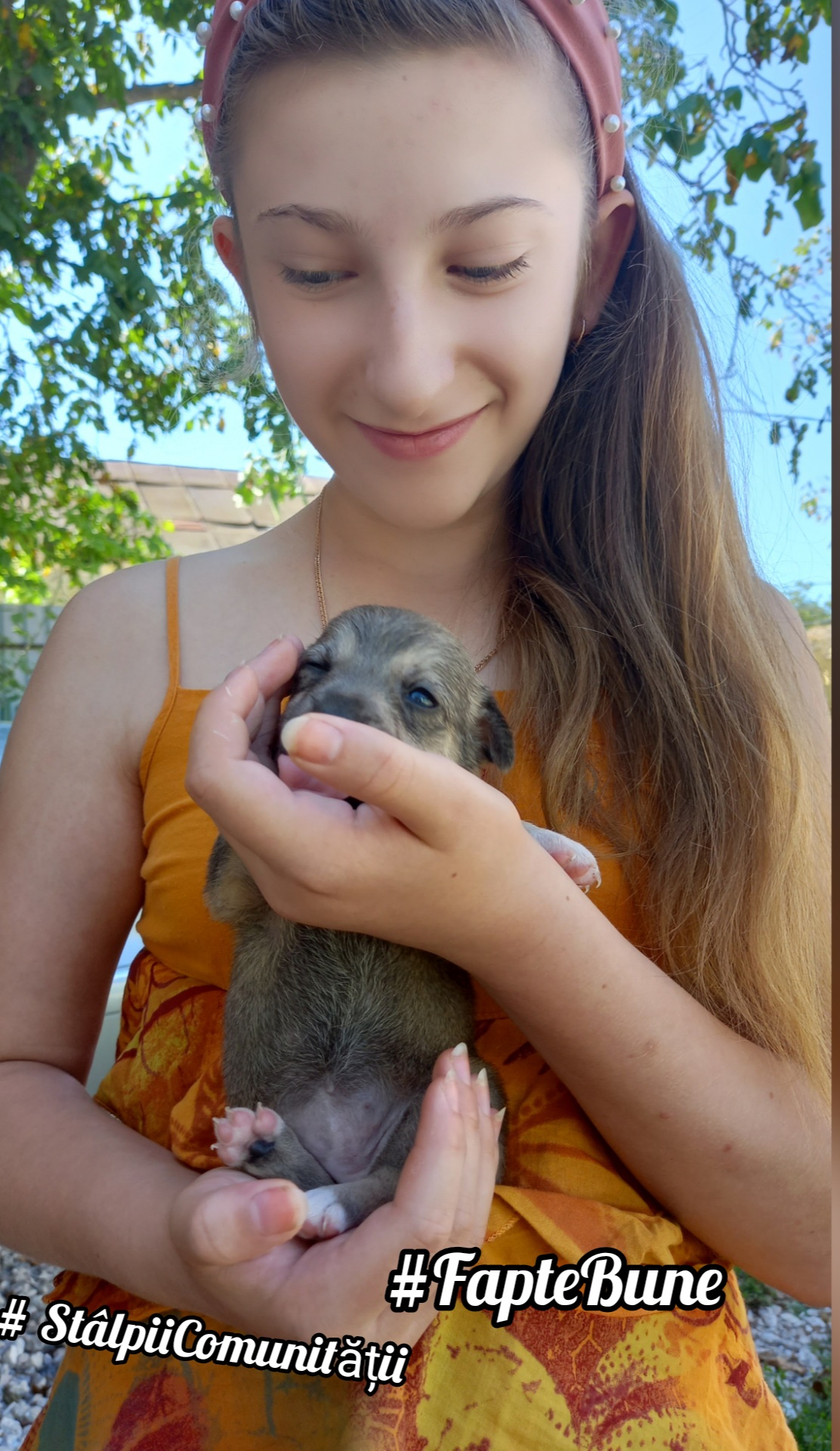 Șansa la a doua viață