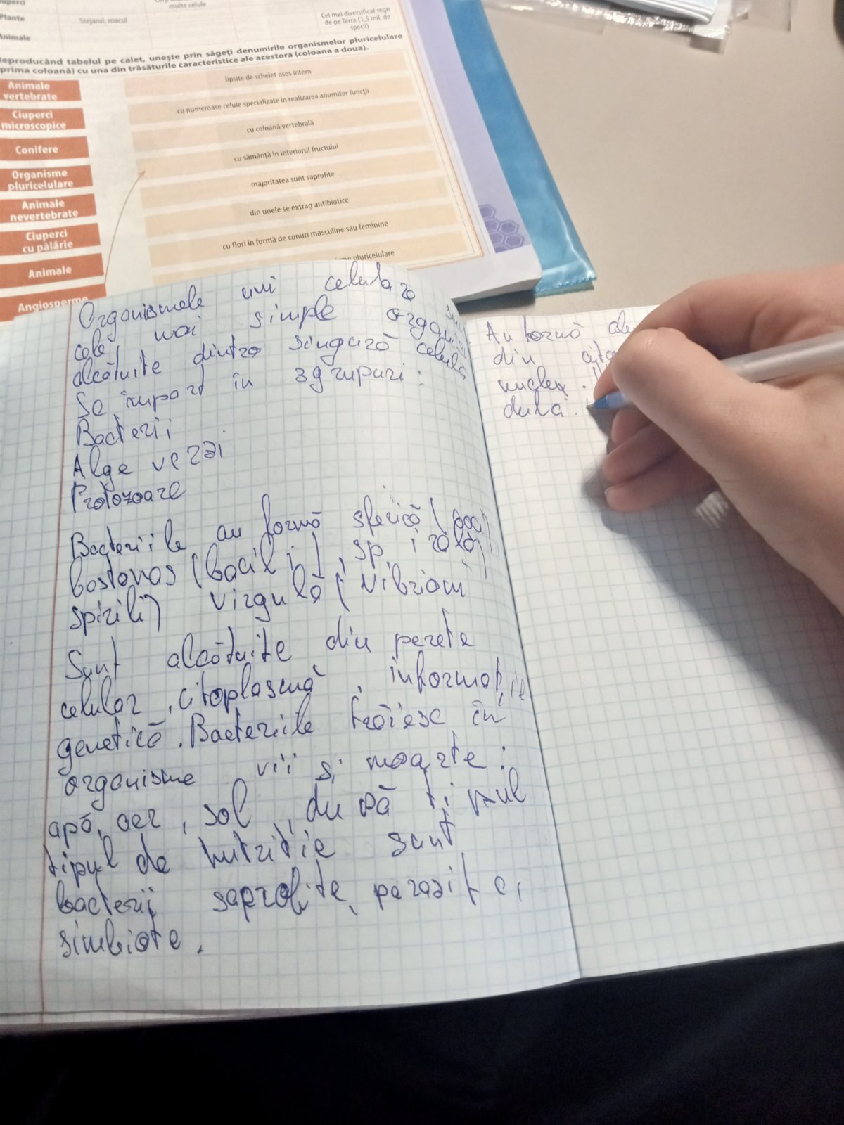 Îmi ajut fratele sa facă o problema la biologie