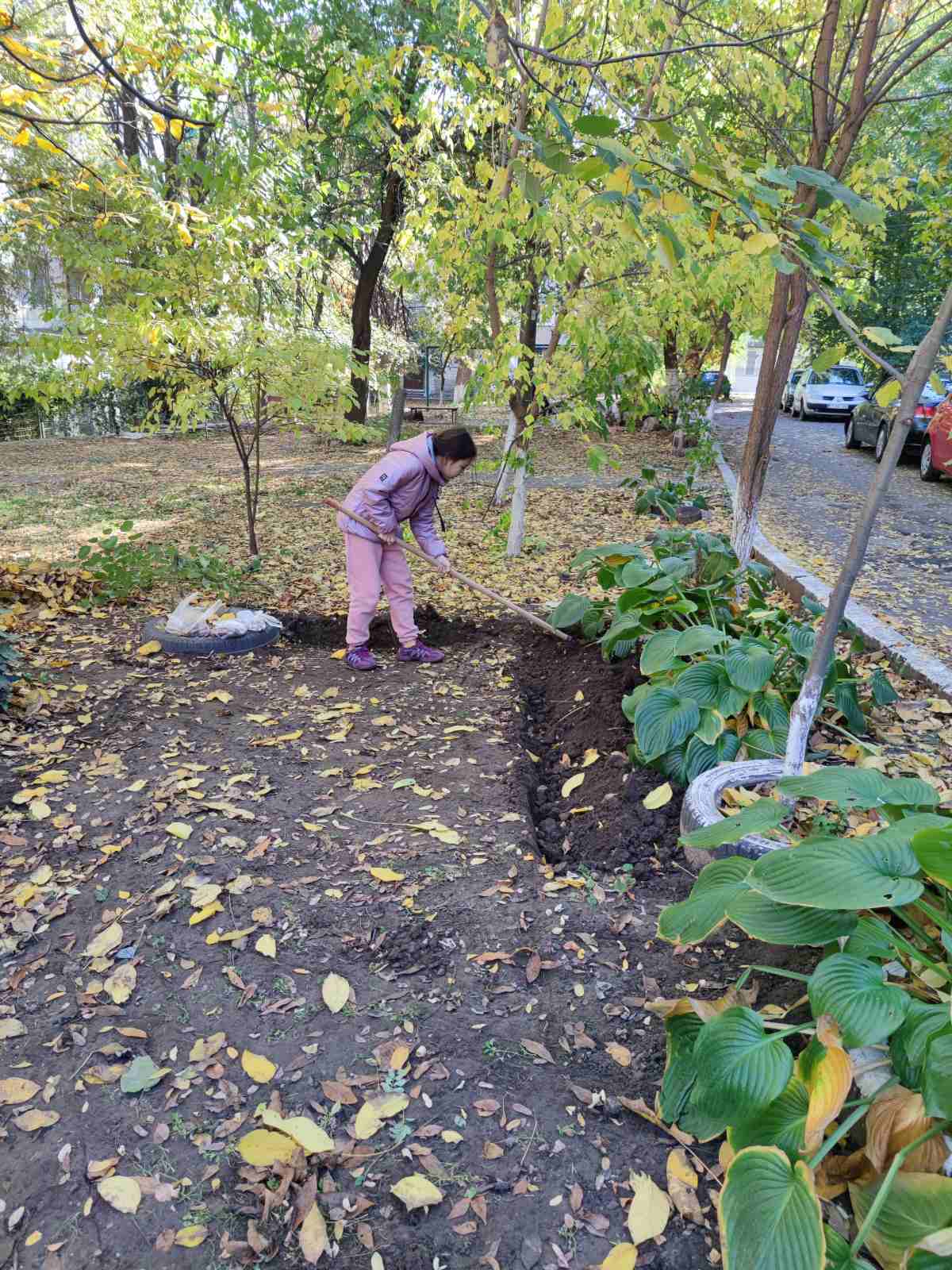 Plantează viitorul