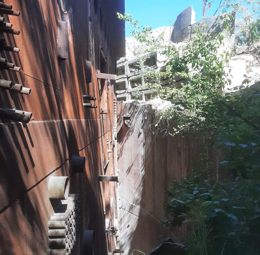 Excursie pentru refugiatii din Ukraina