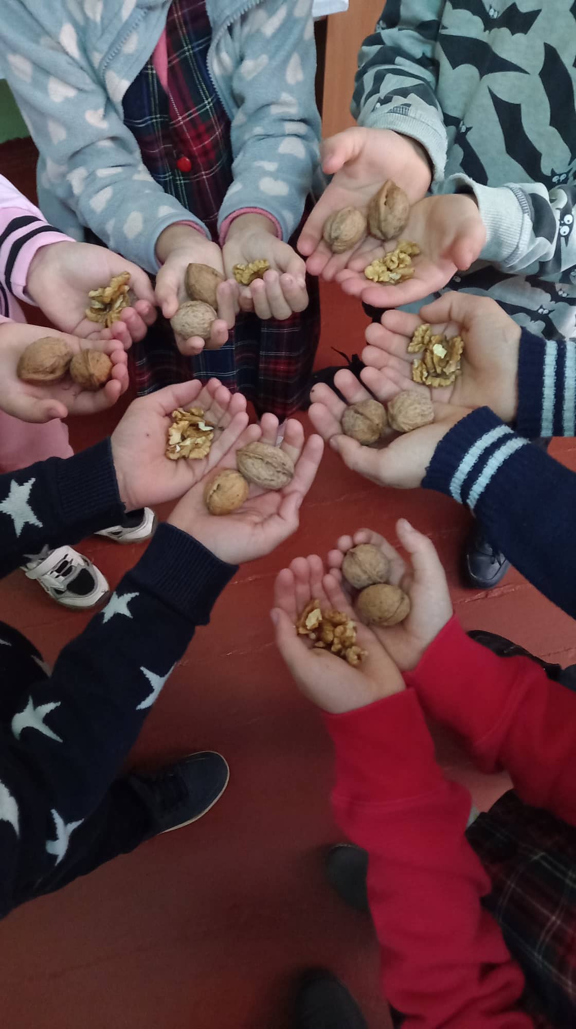 Farmecul miezului de nucă