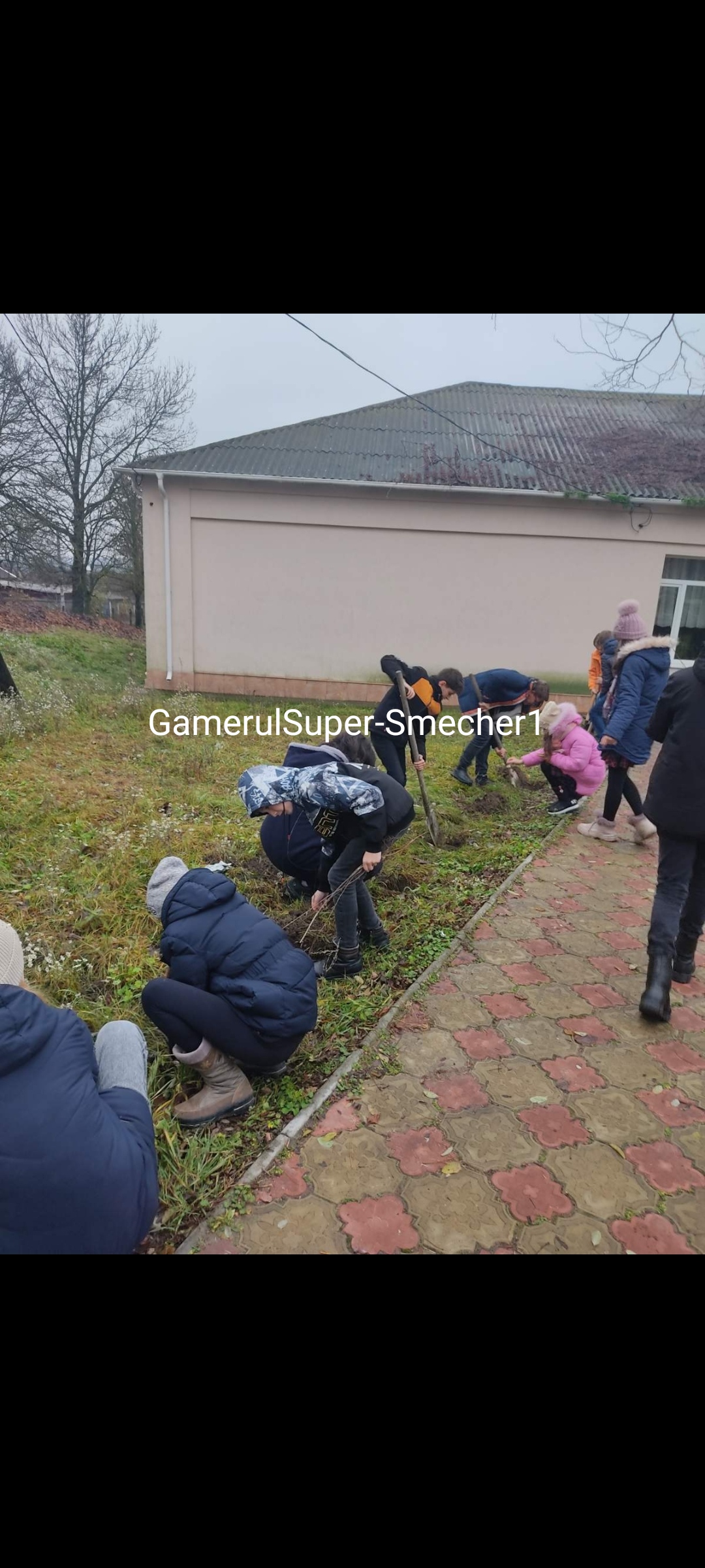 Sădim pentru veaţă ,,,Partea 2
