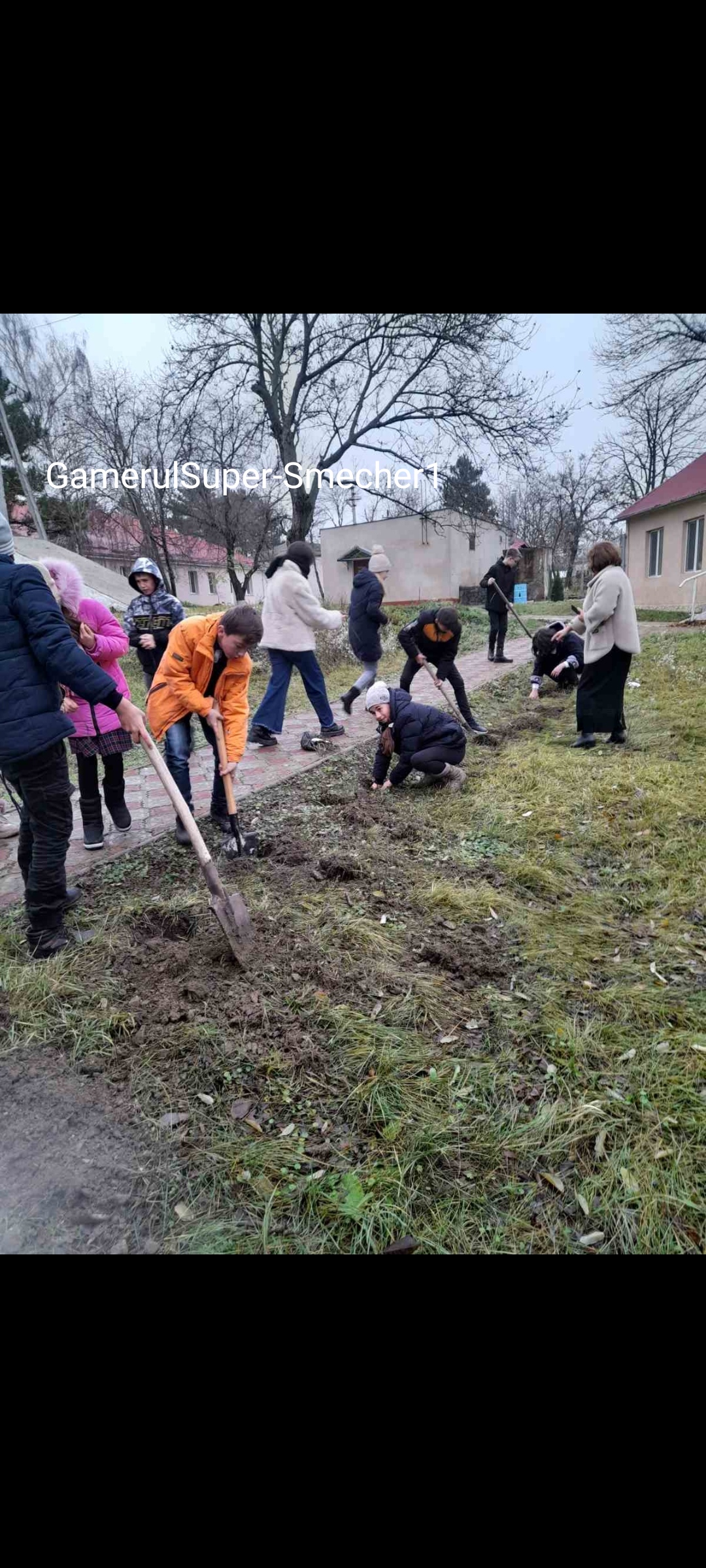 Sădim pentru veaţă